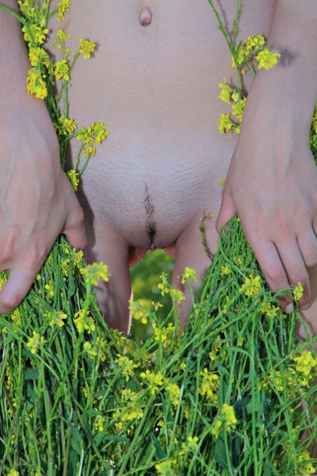 Galaxy Gianna gallery 4